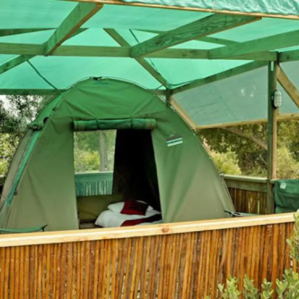 tube-n-axe-backpackers-lodge-storms-river-tsitsikamma-s7fzo