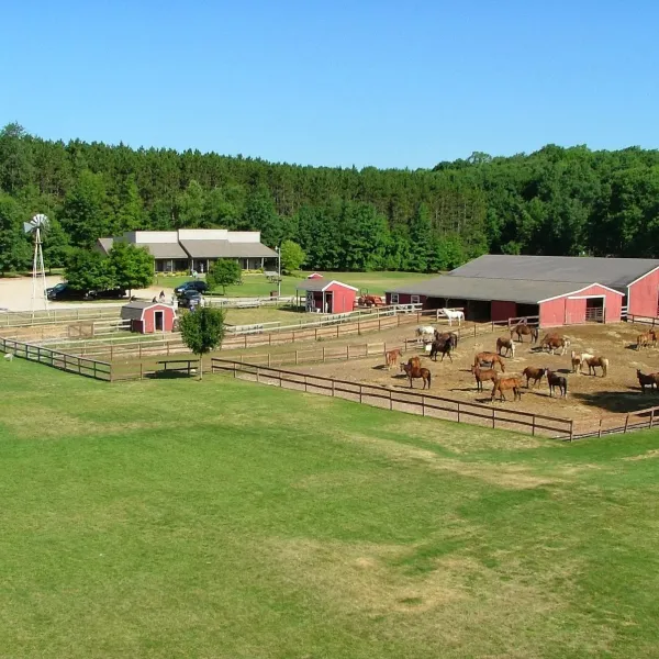 cran-hill-ranch-rodney-y28gn