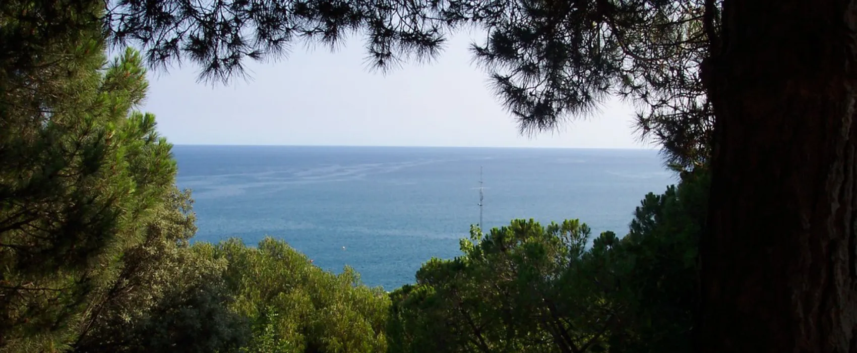 Botanic Bona Vista