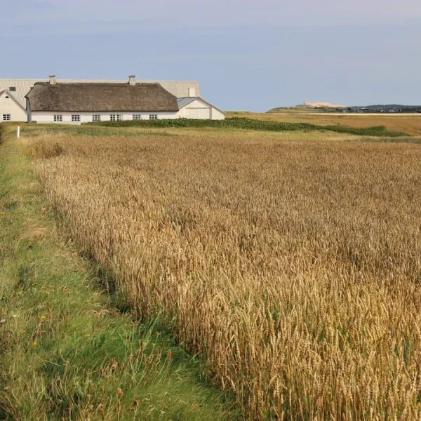 Danmark