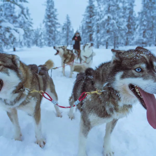 Lappland