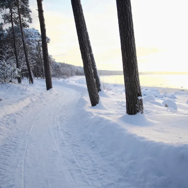 Vestestland